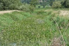 20.-Downstream-from-Somerton-Fishponds-Footbridge-1