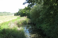 4.-Cary-Bridge-Looking-Upstream