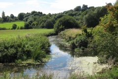 6.-Downstream-from-Cary-Bridge