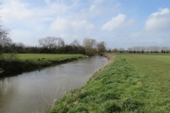 7.-Downstream-from-Coombe-Bridge-2