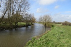 8.-Upstream-from-Thorney-Mill-4