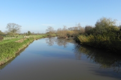 29.-Looking-Upstream-from-Ham-Bridge