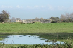 40.-Knapp-Bridge-Upstream-Arch