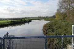 42.-Looking-upstream-from-New-Bridge