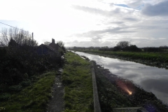 51.-Looking-Upstream-from-Athelney-Rail-Bridge
