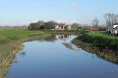 60.-Looking-Downstream-from-Athelney-Bridge