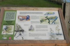 61.-Athelney-Island-by-Athelney-Bridge