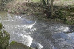 61.-Feltham-Mill-Weir