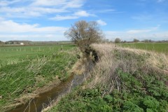 1.-Upstream-from-Fivehead-Bridge-3