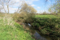 1.-Upstream-from-Fivehead-Bridge-6