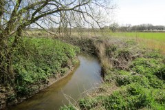1.-Upstream-from-Fivehead-Bridge-7