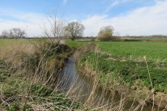 1.-Upstream-from-Fivehead-Bridge-9