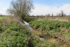 2.-Upstream-from-Fivehead-Bridge-1