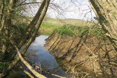 2.-Upstream-from-Fivehead-Bridge-2