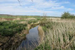 2.-Upstream-from-Fivehead-Bridge-3