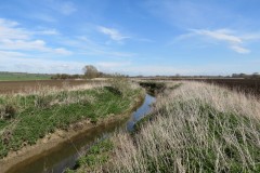3.-Downstream-from-Hay-Bridge-1