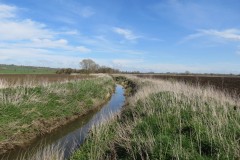 3.-Downstream-from-Hay-Bridge-2