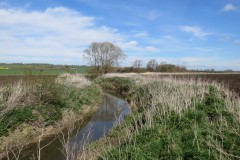 3.-Downstream-from-Hay-Bridge-3