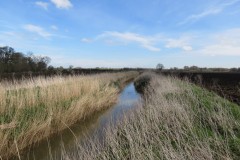 3.-Downstream-from-Hay-Bridge-6