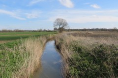 6.-Upstream-from-Hay-Bridge-2