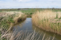 6.-Upstream-from-Hay-Bridge-5