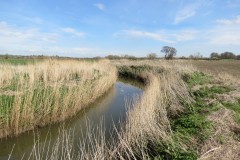 6.-Upstream-from-Hay-Bridge-6