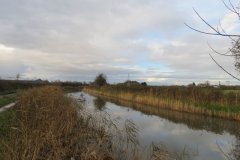 24.-Upstream-from-M5-Motorway-Bridge-1