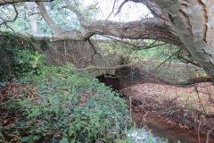 2.-Beam-Bridge-2