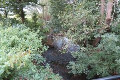 3.-Looking-upstream-from-Beam-Bridge