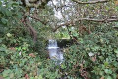 6.-Iwood-Manor-Weir-2