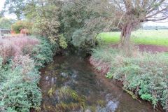 8.-Downstream-from-Iword-Lane-bridge-7