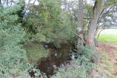 8.-Downstream-from-Iword-Lane-bridge-9