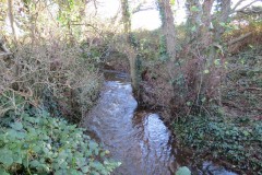 15.-Upstream-from-Kilve-Pill-footbridge-1