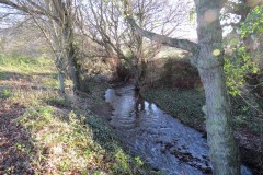 17.-Upstream-from-Kilve-Pill-footbridge-6