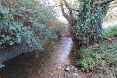 19.-Upstream-from-Kilve-Pill-footbridge-7