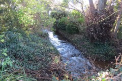 2.-Downstream-from-Kilve-Road-bridge