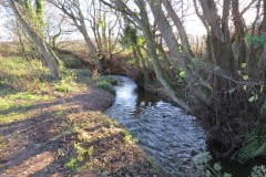 21.-Upstream-from-Kilve-Pill-footbridge-4