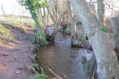 22.-Upstream-from-Kilve-Pill-footbridge-3