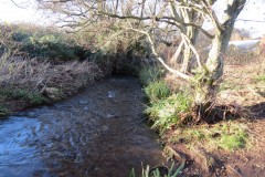 23.-Upstream-from-Kilve-Pill-footbridge-2