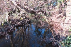 28.-Looking-downstream-from-Kilve-Pill-accommodation-bridge