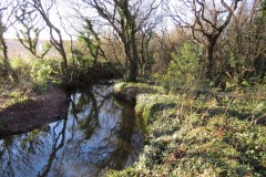 31.-Downstream-from-Kilve-Pill-accommodation-bridge