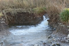 37.-Flowing-to-Kilve-Pill
