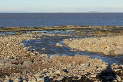 41.-Reaches-the-sea