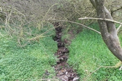 H. Lype Hill Stream :: A. Source to Westcott Farm 