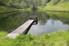 26. Old Stowey Wood pond