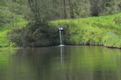 27. Old Stowey Wood pond