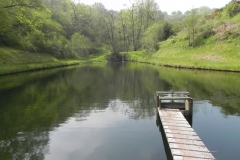 28. Old Stowey Wood pond