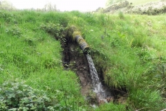 29. Flowing out of  Old Stowey Wood pond