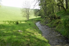 42.Leaving Old Stowey Wood