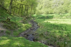 43.Leaving Old Stowey Wood